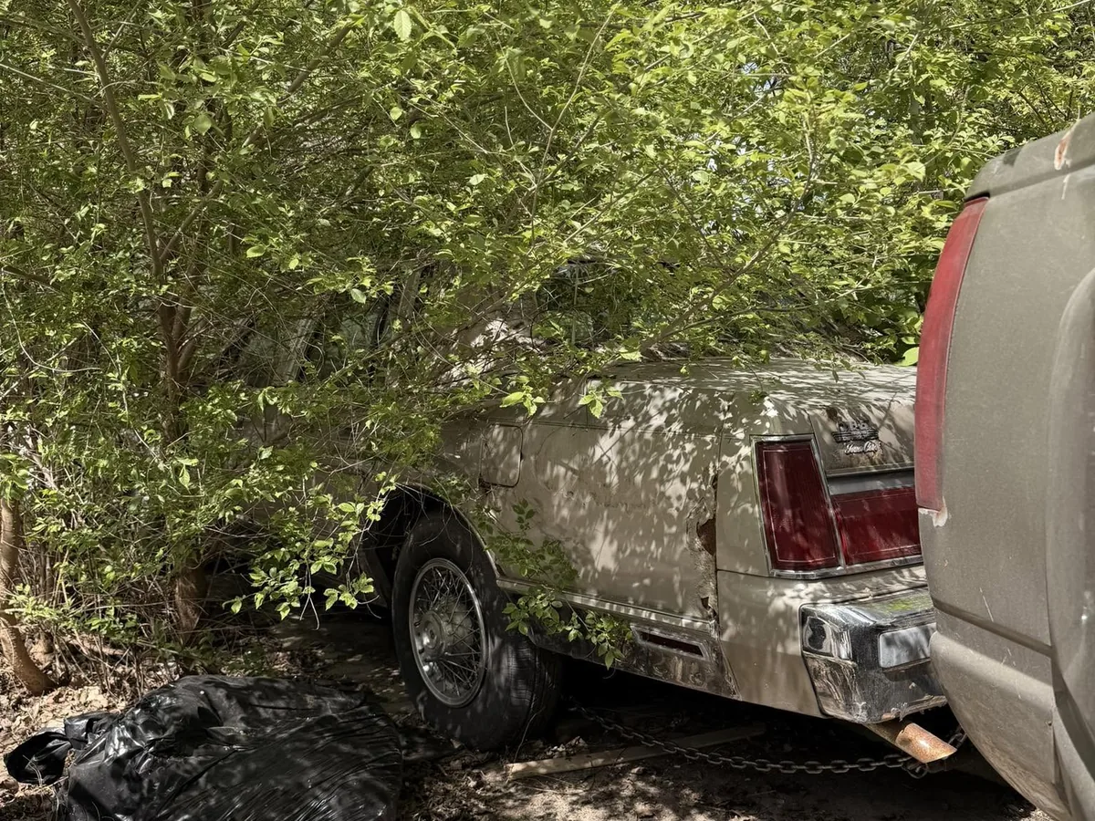 Abandoned pickup truck in brush ready for junk removal